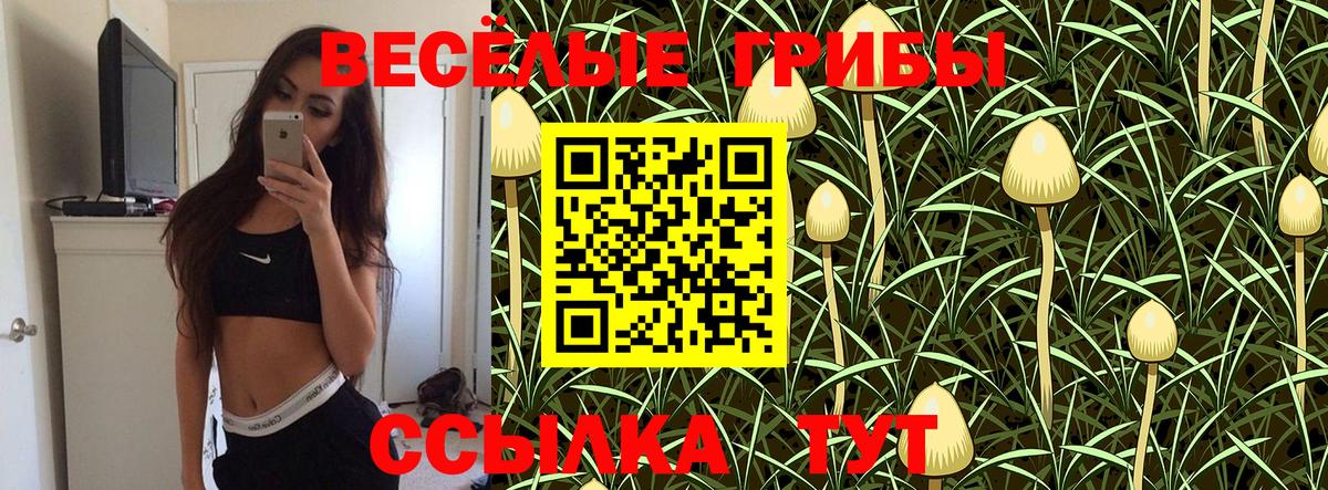 Псилоцибиновые грибы Cubensis Нарьян-Мар