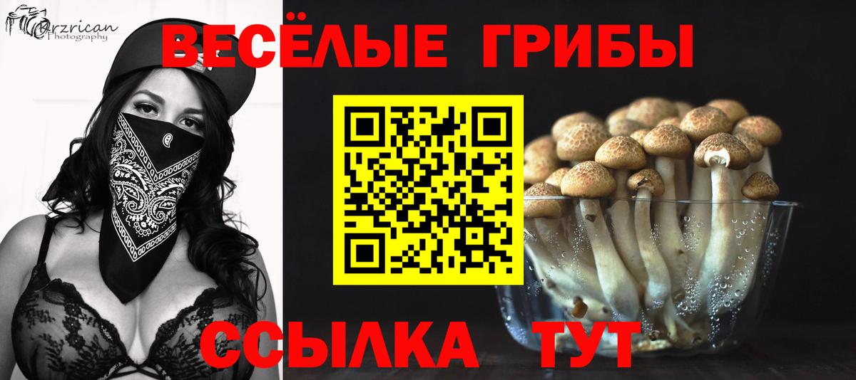 Нарьян-Мар  Галлюциногенные грибы Cubensis  Вход с VPN  Галлюциногенные грибы Psilocybe 